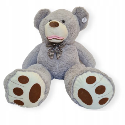 Divovski medvjed za darovanje Veliki medvjed DIVOVSKI XXL TEDDY Medvjed 160cm SVIJETLO SIV