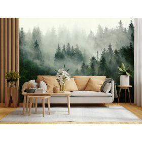 3D fototapeta od flizelina Muralo MF_125_V8 368x254 cm