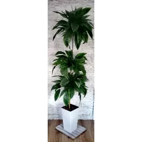 Umjetno cvjetno stablo Ficus Ficus 175 cm cvijet