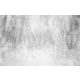 FOTOTAPETA PLANINA 380x254 Netkane List #F157 #SF