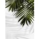 FOTO TAPETA 200x254 flizenska tapeta LEAF #F154