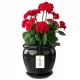Vrtna posuda - Boca lonac za cvijeće 28 cm x 28 x 30,5 cm promjer 28 cm keramika crna