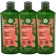 YVES ROCHER regenerirajući šampon s uljem jojobe BIO 300 ml