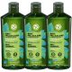 YVES ROCHER šampon protiv peruti s mentom 300 ml