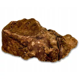 Gryzak za pse - korijen wrzošca M [150-300g] prirodno tvrd