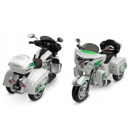 TOYZ RIOT ELEKTRIČNO VOZILO SVJETLO SIVO