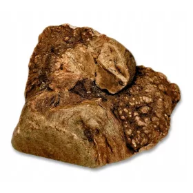 Gryzak za pse - korijen šišak L [300-500g] Prirodni tvrdi