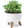  Lamela posuda za cvijeće 24 cm x 24 x 20 cm promjer 24 cm plastična bijela