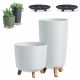  Prosperplast saksija 29,8 cm x 29,8 x 36,5 cm promjer 29,8 cm plastična bijela