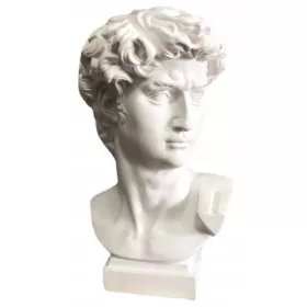 KIP GLAVA DAVIDOVA BISTA DEKORACIJA SKULPTURA