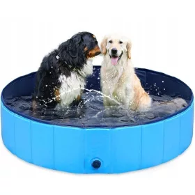 PAS, ŽIVOTINJA, DJECA, VRTNI BAZEN 160cm XXXL