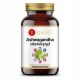 YANGO Ashwagandha s vitaminima B, 90 kapsula