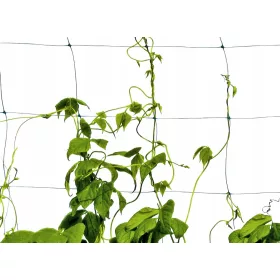  Plastična pergola Plantina rešetka 200 cm
