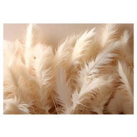   3D FEATHERS foto tapeta za spavaću sobu, dnevni boravak 312x219