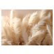 3D FEATHERS foto tapeta za spavaću sobu, dnevni boravak 312x219