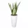  Form-Plastična posuda za cvijeće 30 cm x 30 x 56 cm promjer 30 cm plastična bijela