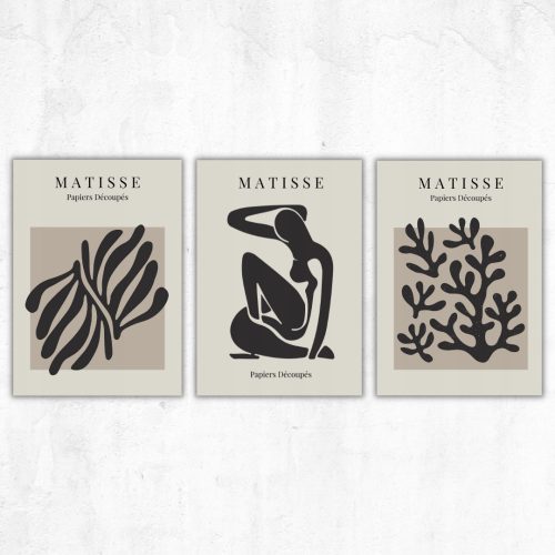 Set postera od 3 Matisse postera galerija zidni dizajn interijera dnevni boravak spavaća soba botanika bež ljudi, biljke, umjetnost bez okvira 30 x 40 cm