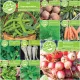 Set sjemenja povrća BIO SEEDS 10 pak