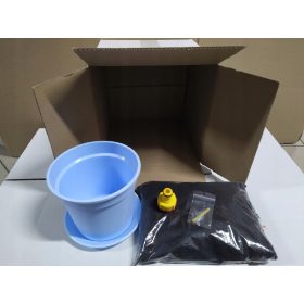  Set za uzgoj bonsaija Judino drvo +!!!