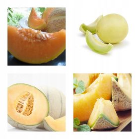 ZBIRKA SJEMENA DINJE 4 pak. Set br. 2