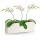 Vrtna posuda - Polnix saksija 38 cm x 16 x 13 cm promjer 16 cm keramika bijela