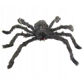  Godan pauk 60 x 16 cm 1 kom.