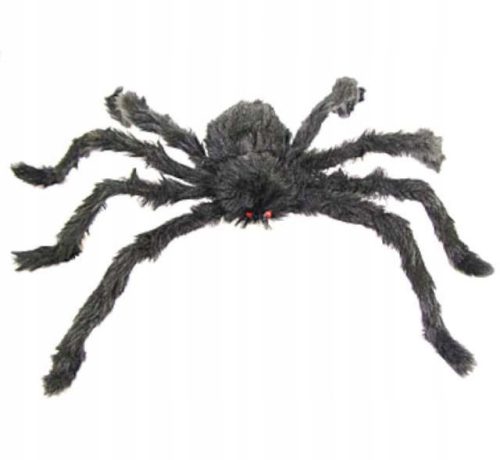  Godan pauk 60 x 16 cm 1 kom.