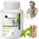 Ashwagandha Aliness Natural 9% - 100 kapsula za vitalnost i otpornost na stres