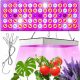 Grow Light Panel for Indoor Plant Growth 350W 75LED