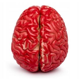  UMJETNI MOZAK HALLOWEEN DEKORACIJA ZOMBIE HOROR