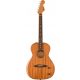Fender Elektroakustična Gitara Parlor RW od Mahagonija