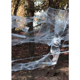  Set od 25 paukova s paukovom mrežom Aster 74425