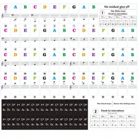 Colorful Piano Key Stickers for Learning Music