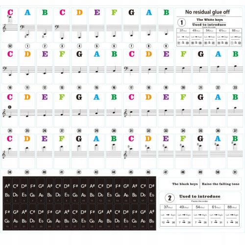 Colorful Piano Key Stickers for Learning Music