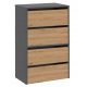  TopEshop ormarić za cipele 60 x 88 x 36 cm antracit