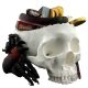  SKULL SWEET BOWL CANDY DEKORACIJA ZA NOĆ VJEŠTICA U OBLIKU LUBANJE