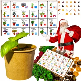    ADVENTSKI KALENDAR Biljke za uzgoj DIY set 24 kutije Poklon Božić