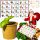  ADVENTSKI KALENDAR Biljke za uzgoj DIY set 24 kutije Poklon Božić