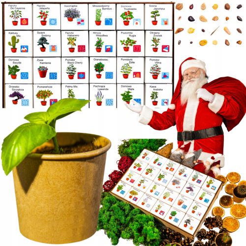  ADVENTSKI KALENDAR Biljke za uzgoj DIY set 24 kutije Poklon Božić