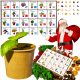  ADVENTSKI KALENDAR Biljke za uzgoj DIY set 24 kutije Poklon Božić