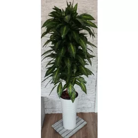   Ficus Ficus umjetno cvijeće 155 cm ukras bijela crna cjevasta posuda