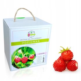  Sweet Home Sjeme za balkonski uzgoj jagoda Xxl - na dar