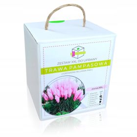    PAMPASUS GRASS PINK PINK KOMPLET ZA UZGOJ XXL SJEMENA - POKLON