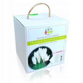    SET BIJELE UKRASNE PAMPASS TRAVE ZA UZGOJ XXL SJEMENA - NA POKLON