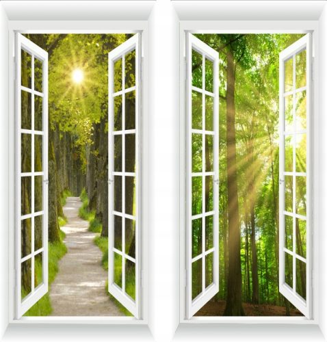 FOTO ZID PROZOR 3D ŠUMSKO DRVEĆE PRIRODA 100 X 230cm