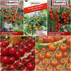 Pomidor balkonski Set sjemenki 5 paketa