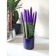 Sansevieria Velvet Touchz Purple with Heater 35 cm