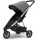 Thule Spring Silver kolica s baldahinom