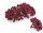  Frosted rowan, tamno bordo, 240 kom
