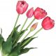 TULIPANI BUKET GUMENIH TULIPANA, GUMIRANI KAO ŽIVI